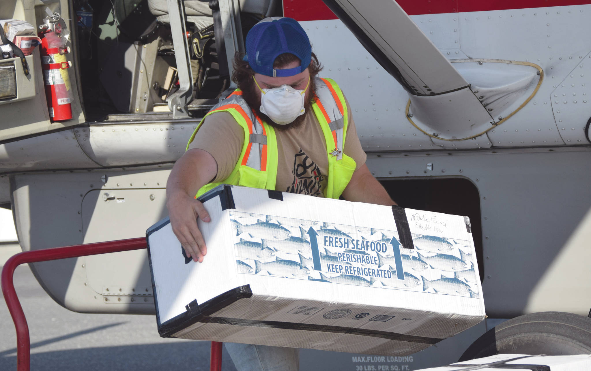 Jeff Helminiak/Peninsula Clarion                                Soldotna’s Chase Gable, a customer service agent at Grant Aviation, unloads a plane Tuesday, at Kenai Municipal Airport.