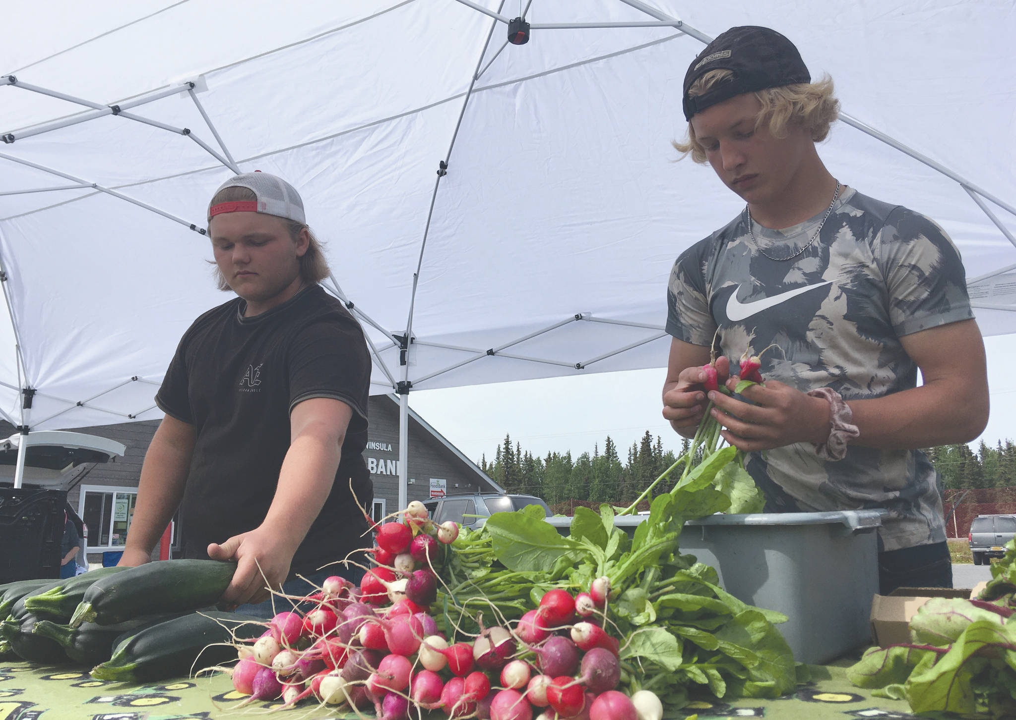 Jeff Helminiak/Peninsula Clarion                                Noah and Eddie Land of Grace Acres Farm in Kasilof set out produce Tuesday at the Farmers Fresh Market at Kenai Peninsula Food Bank.