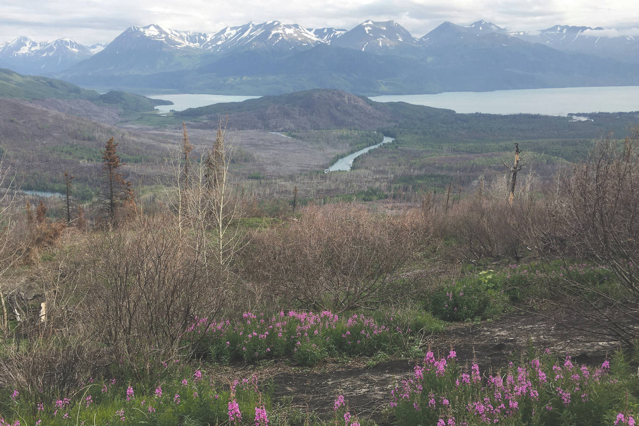 The Kenai River and Skilak Lake are seen from the Hideout Trail in the Kenai National Wildlife Refuge on Sunday, July 5, 2020, on the Kenai Peninsula in Alaska. (Photo by Jeff Helminiak/Peninsula Clarion)