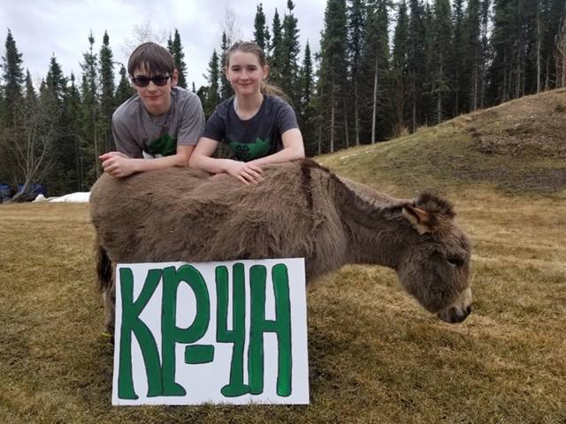 Cassy Rankin/Kenai Peninsula District 4-H                                 Parker Rose and Kendra Rose, members of the Sterling Horse and Livestock 4-H Club, pose with their miniature donkey on April 23.