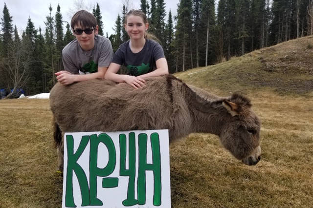 Parker Rose and Kendra Rose, members of the Sterling Horse and Livestock 4-H Club, are seen here with their miniature donkey on April 23, 2020. (Photo courtesy Cassy Rankin/Kenai Peninsula District 4-H)