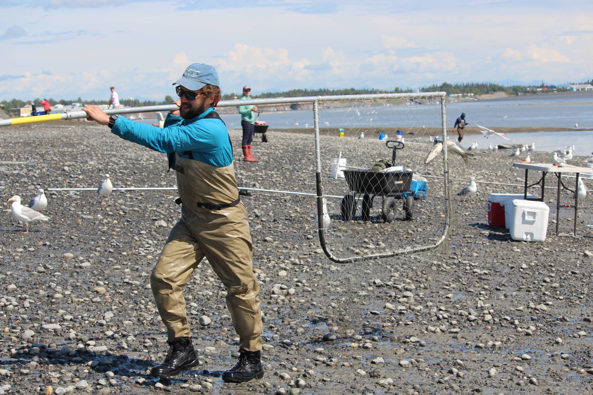 Shawn Dick of Talkneetna carries a fresh catch out of the water while dipnetting on the Kenai Beach on July 10, 2020. (Photo by Brian Mazurek/Peninsula Clarion)