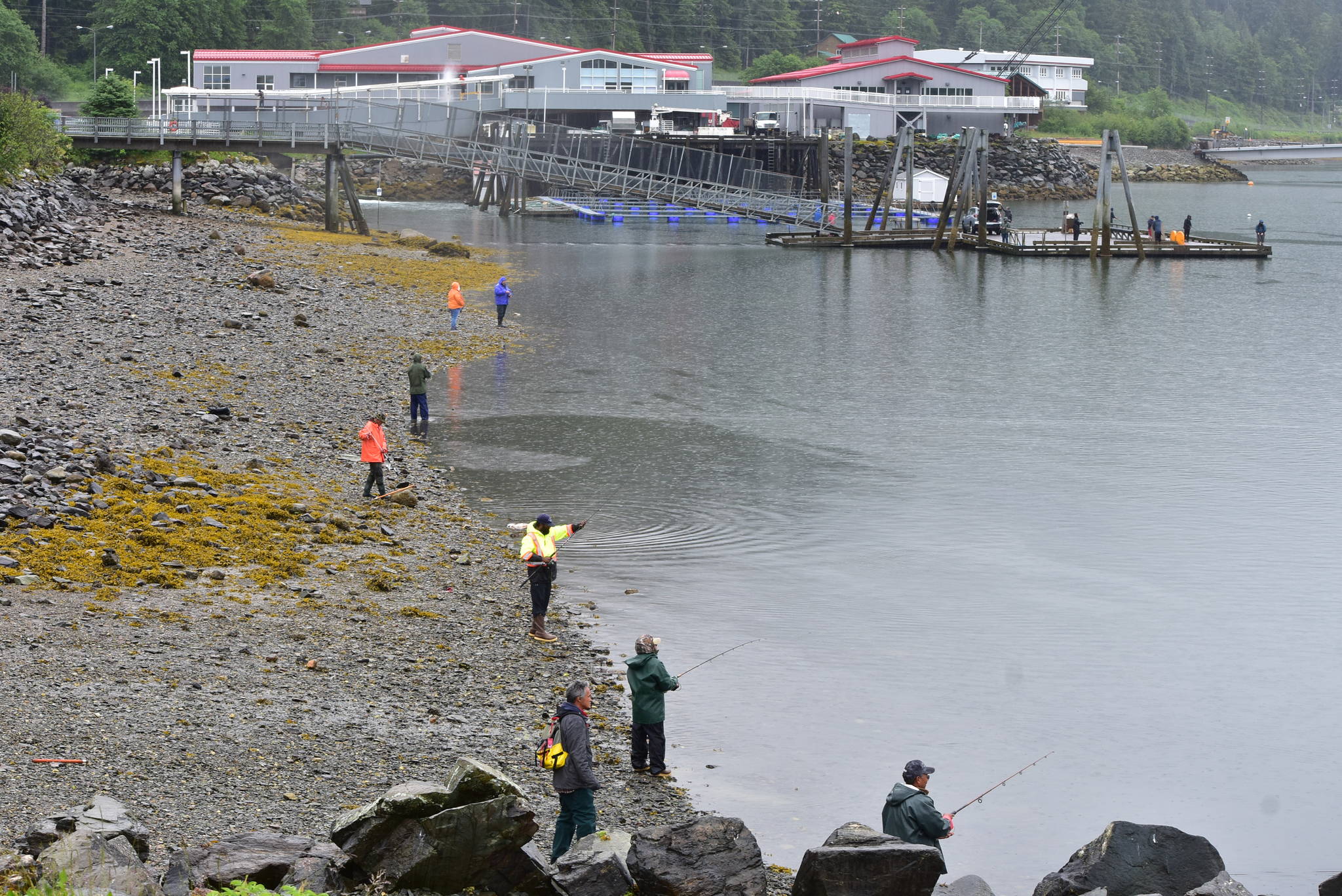 Peter Segall | Juneau Empire                                Fishermen along Channel Drive in Juneau on Friday, June 26, 2020. The Douglas Island Pink and Chum hatchery, seen in the distance, has reported much smaller returns of chum salmon this year. Hatchery officials are concerned about getting enough fish to maintain their broodstock.