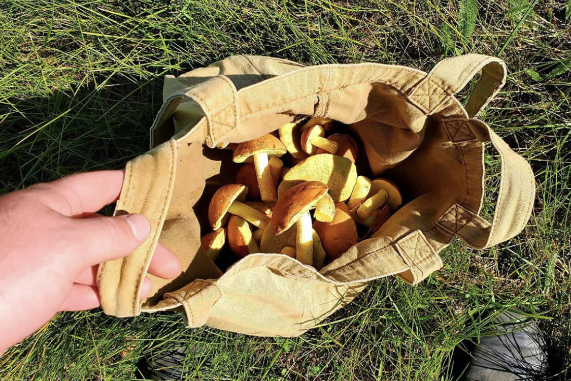 A bag of butter boletes is seen in this July 2020 photo. (Photo by Victoria Petersen/Peninsula Clarion)