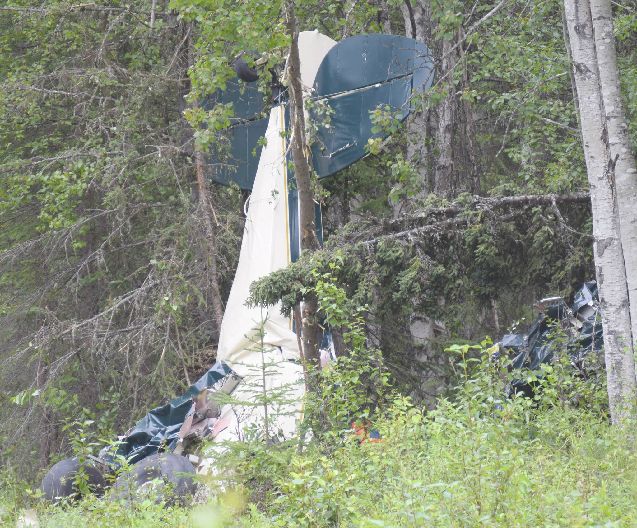 One of the planes involved in the midair collision that killed seven people, including Rep. Gary Knopp, rests in the woods just off Mayoni Street just outside of Soldotna, Alaska, on Friday, July 31, 2020. (Photo by Jeff Helminiak/Peninsula Clarion)
