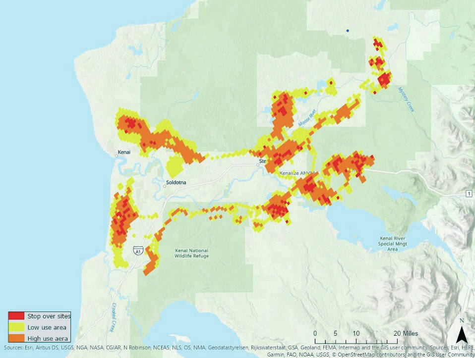 Refuge Notebook: Migrations of the Kenai Lowland caribou