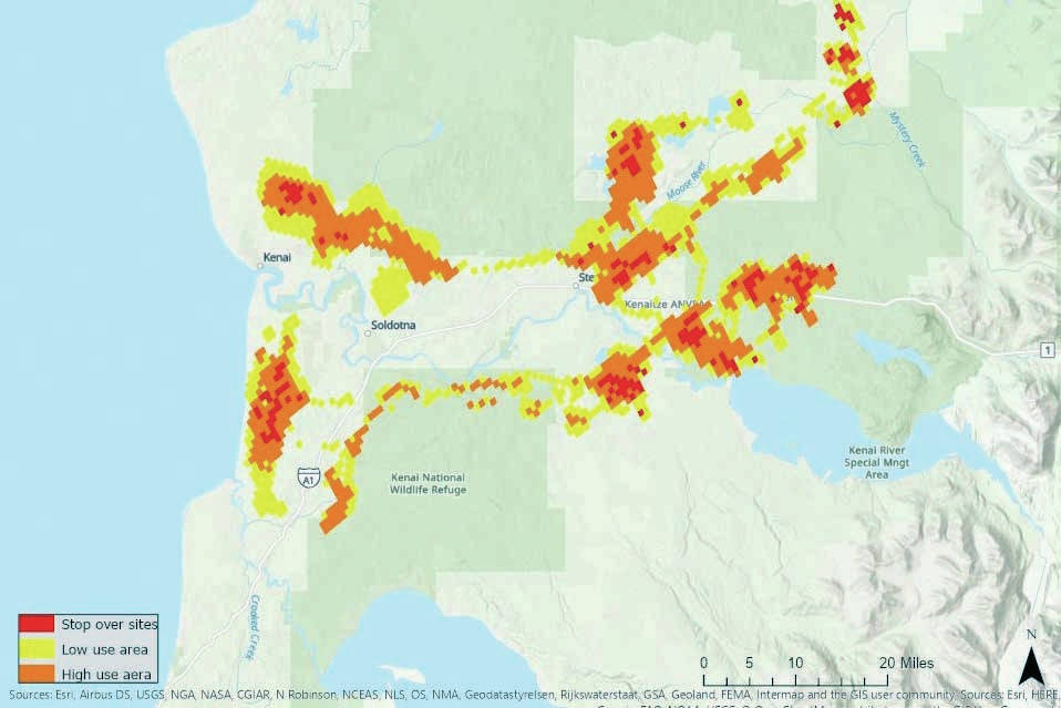 Refuge Notebook: Migrations of the Kenai Lowland caribou