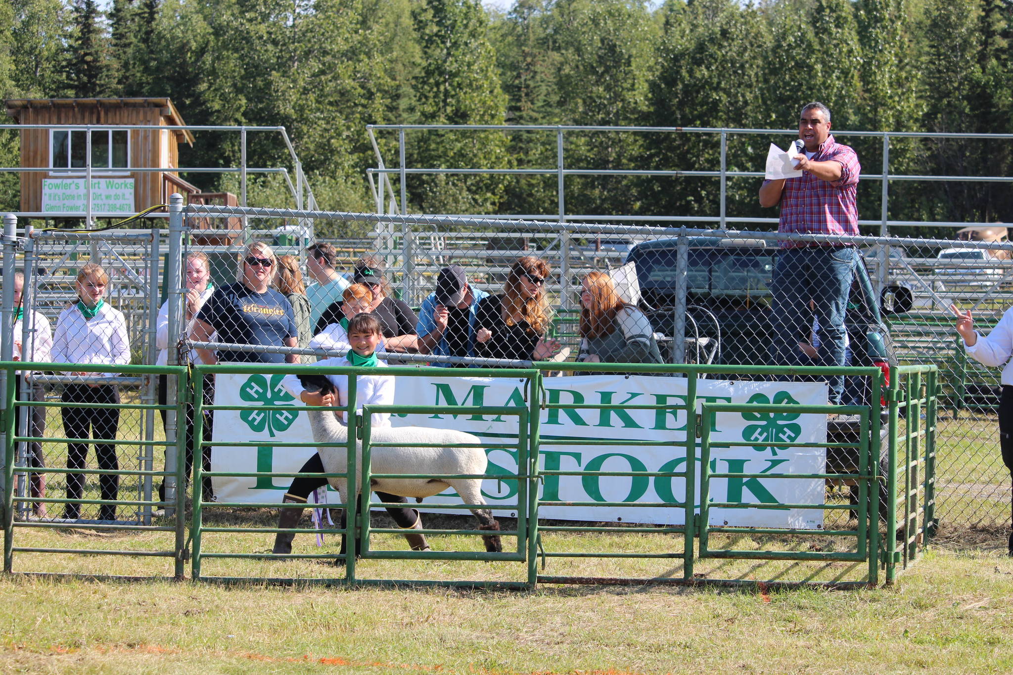 Xinlan Tanner shows off her Grand Champion Lamb as auctioneer Rayne Reynolds, top right, takes bids during the 4-H Junior Market Drive-in Auction at the Soldotna Rodeo Grounds on Aug. 15, 2020. (Photo by Brian Mazurek/Peninsula Clarion)
