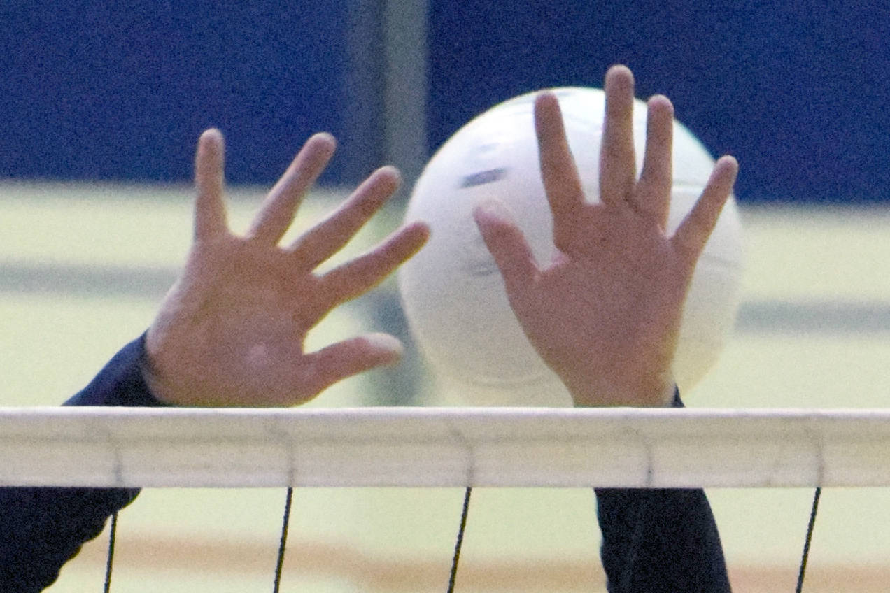 Volleyball roundup: SoHi, Homer notch wins