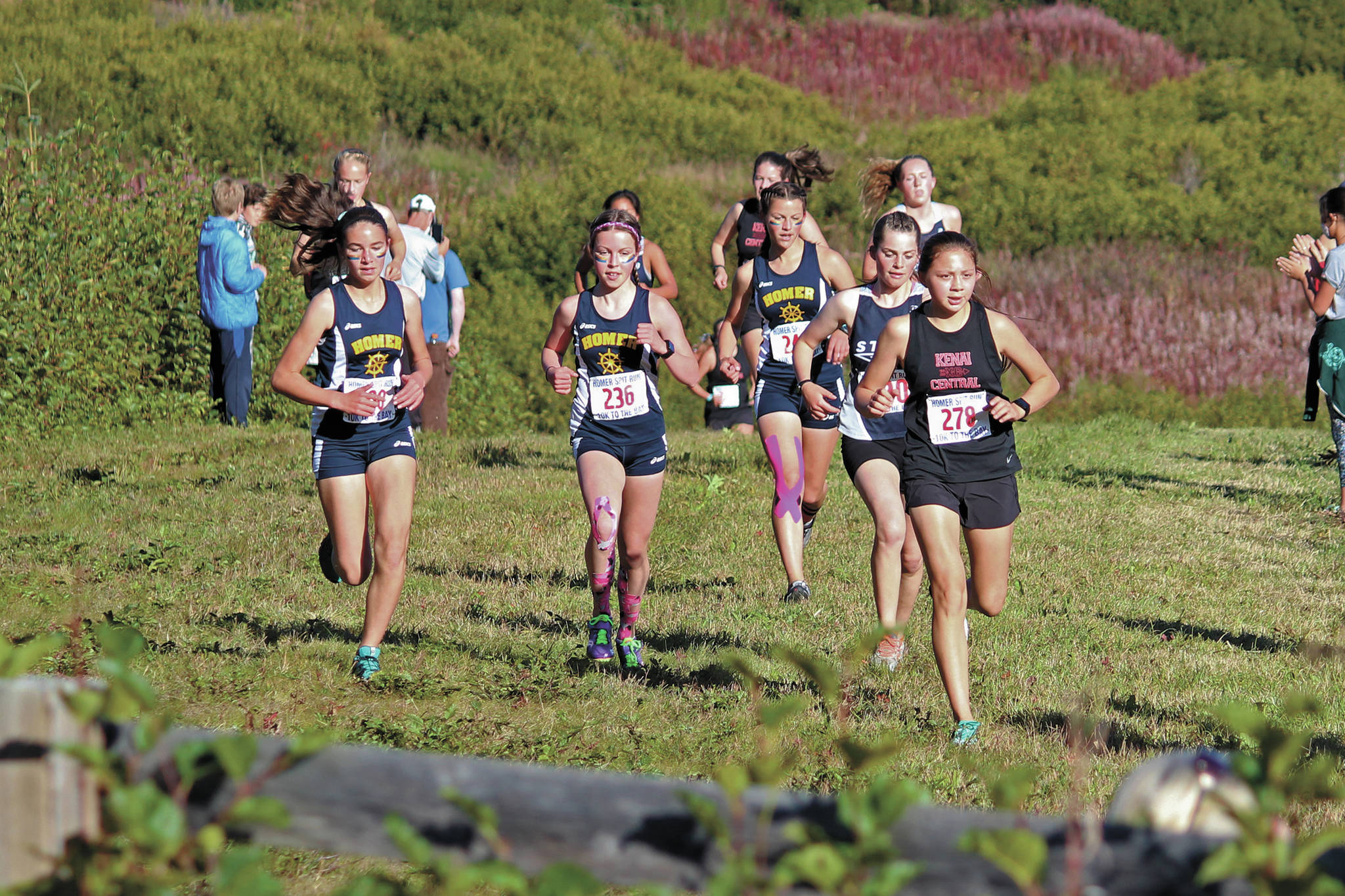 Kenai’s Emilee Wilson leads a group of runners up a hill during the varsity girls’ 5 kilometer race Friday, Sept. 11, 2020 at the Lookout Mountain Trails near Homer, Alaska. (Photo by Megan Pacer/Homer News)