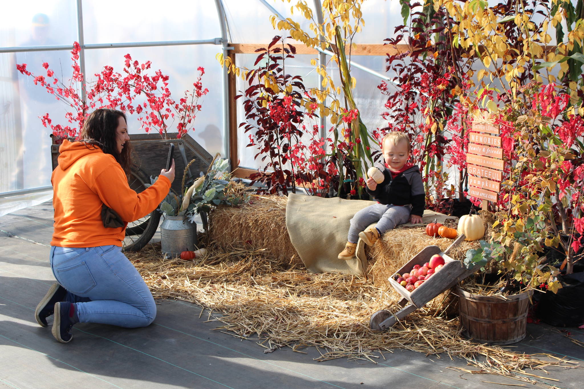 Stefany Malatesta takes a photo of her son Louie Malatesta during the annual apple tasting at O’Brien Garden & Trees on Saturday, in Nikiski.