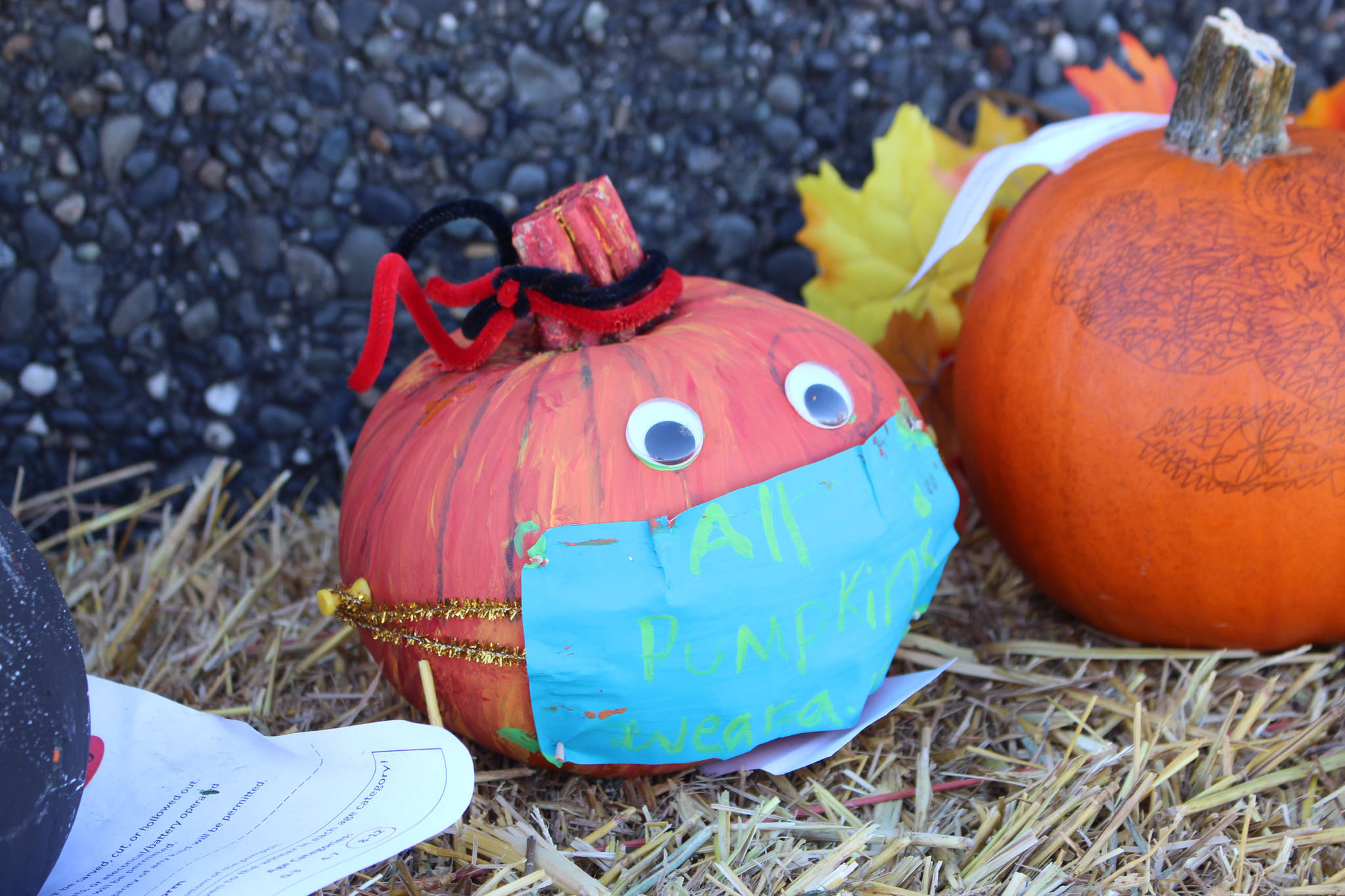 A masked pumpkin entered into the City of Kenai’s pumpkin decorating is seen here during the Fall Pumpkin Festival in Kenai, Alaska on Oct. 10, 2020. (Photo by Brian Mazurek/Peninsula Clarion)