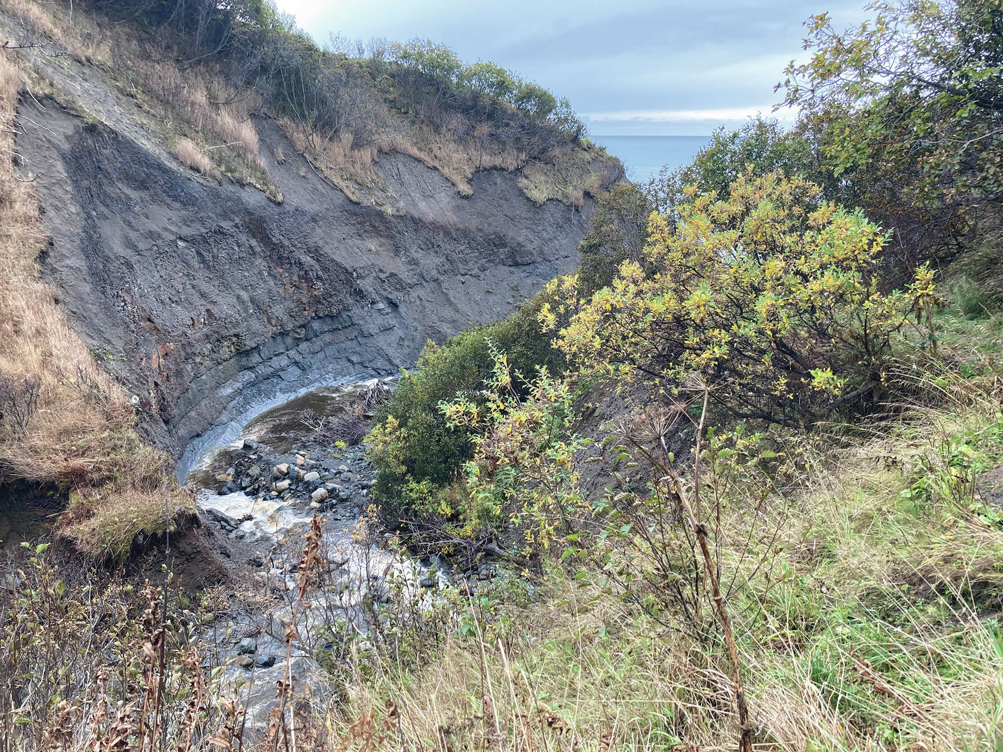 The Diamond Creek trail winds along the creek canyon from a trail head at the bottom of a gravel road off the Sterling Highway to the beach below. Use caution when hiking narrow parts of the trail as seen here on Sunday, Oct. 4, 2020 near Homer, Alaska. (Photo by Michael Armstrong/Homer News)