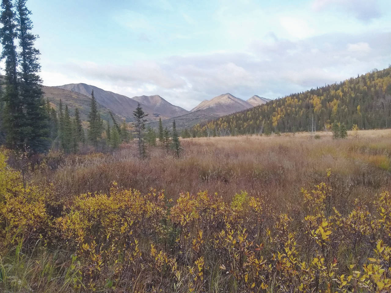 The view looking north toward the pass from just above Juneau Lake. (Photo by Jack Carroll/Kenai National Wildlife Refuge)