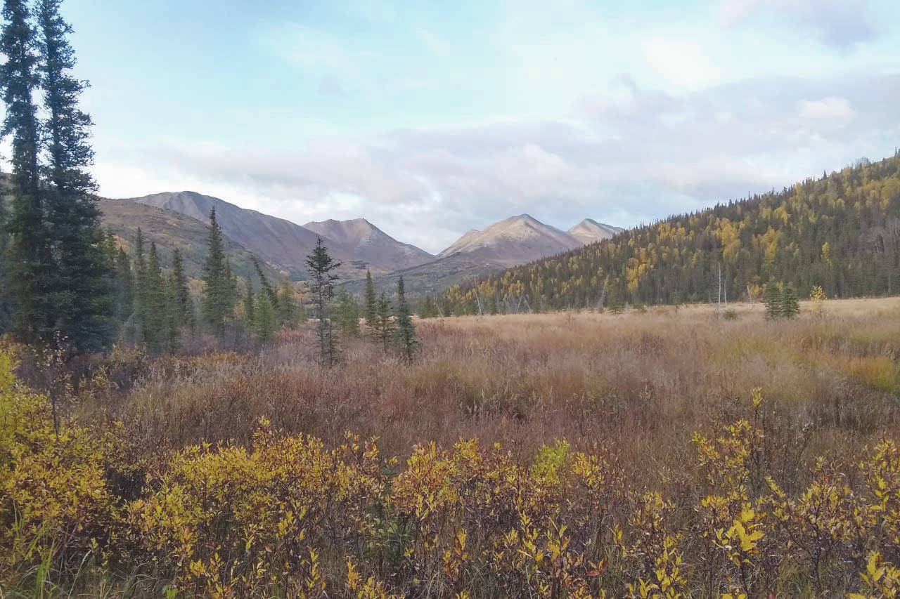 The view looking north toward the pass from just above Juneau Lake. (Photo by Jack Carroll/Kenai National Wildlife Refuge)