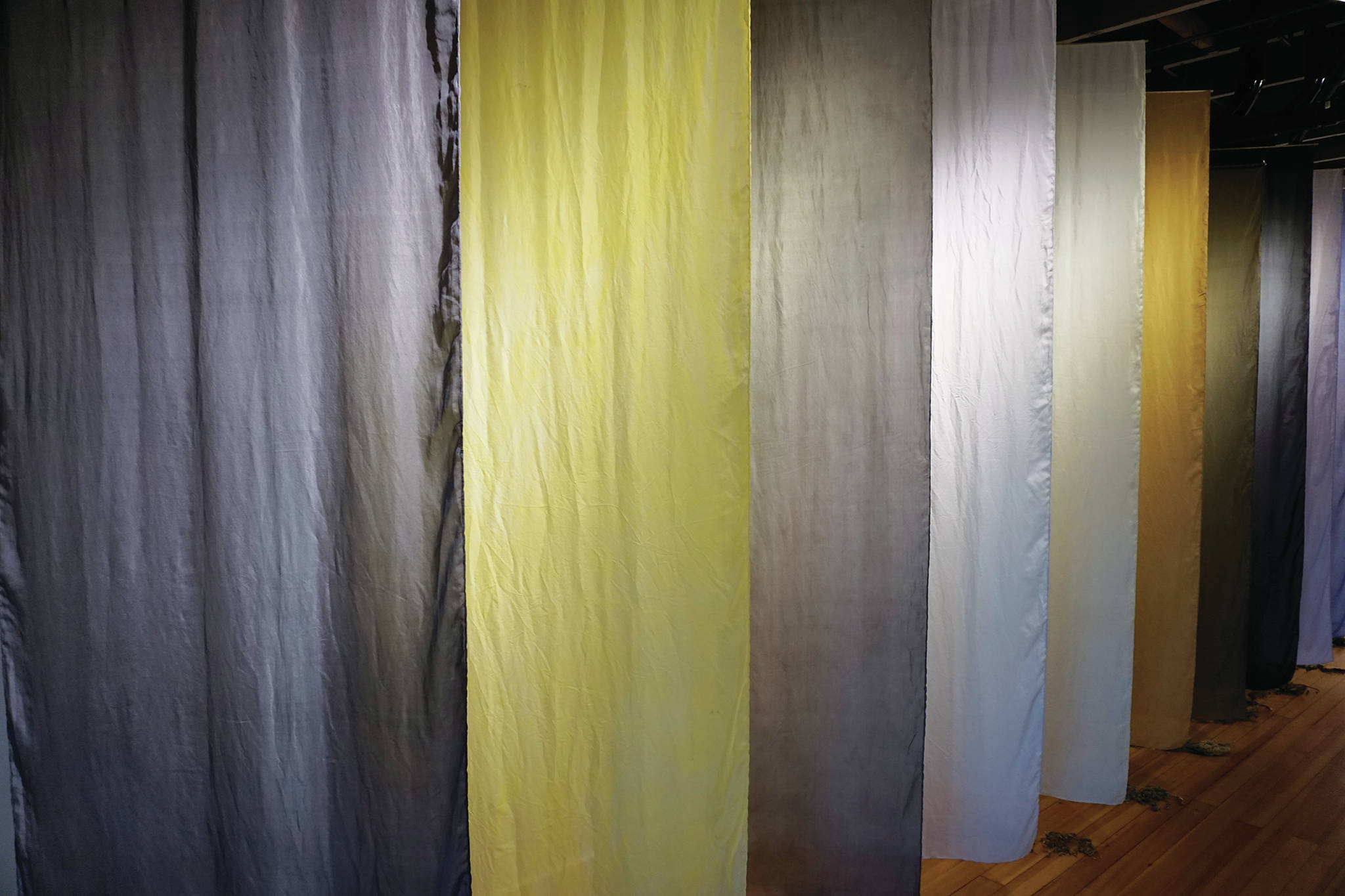 A row of dyed silk wall hangings shows how common Alaska plants found on the lower Kenai Peninsula can be used to make organic dyes, as seen here Tuesday. The hangings are included in Elissa Pettibone’s exhibit, “Swatches,” showing at Bunnell Street Arts Center in Homer.
Michael Armstrong / Homer News