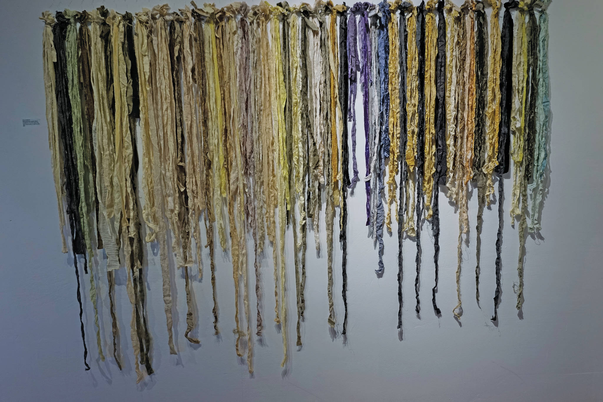 “Kenai Peninsula Swatch Library” shows the lower Kenai Peninsula plants and techniques used to dye fabrics, as seen here on Tuesday, Nov. 10, 2020. The work is included in Elissa Pettibone’s exhibit, “Swatches,” showing at Bunnell Street Arts Center in Homer, Alaska. (Photo by Michael Armstrong/Homer News)