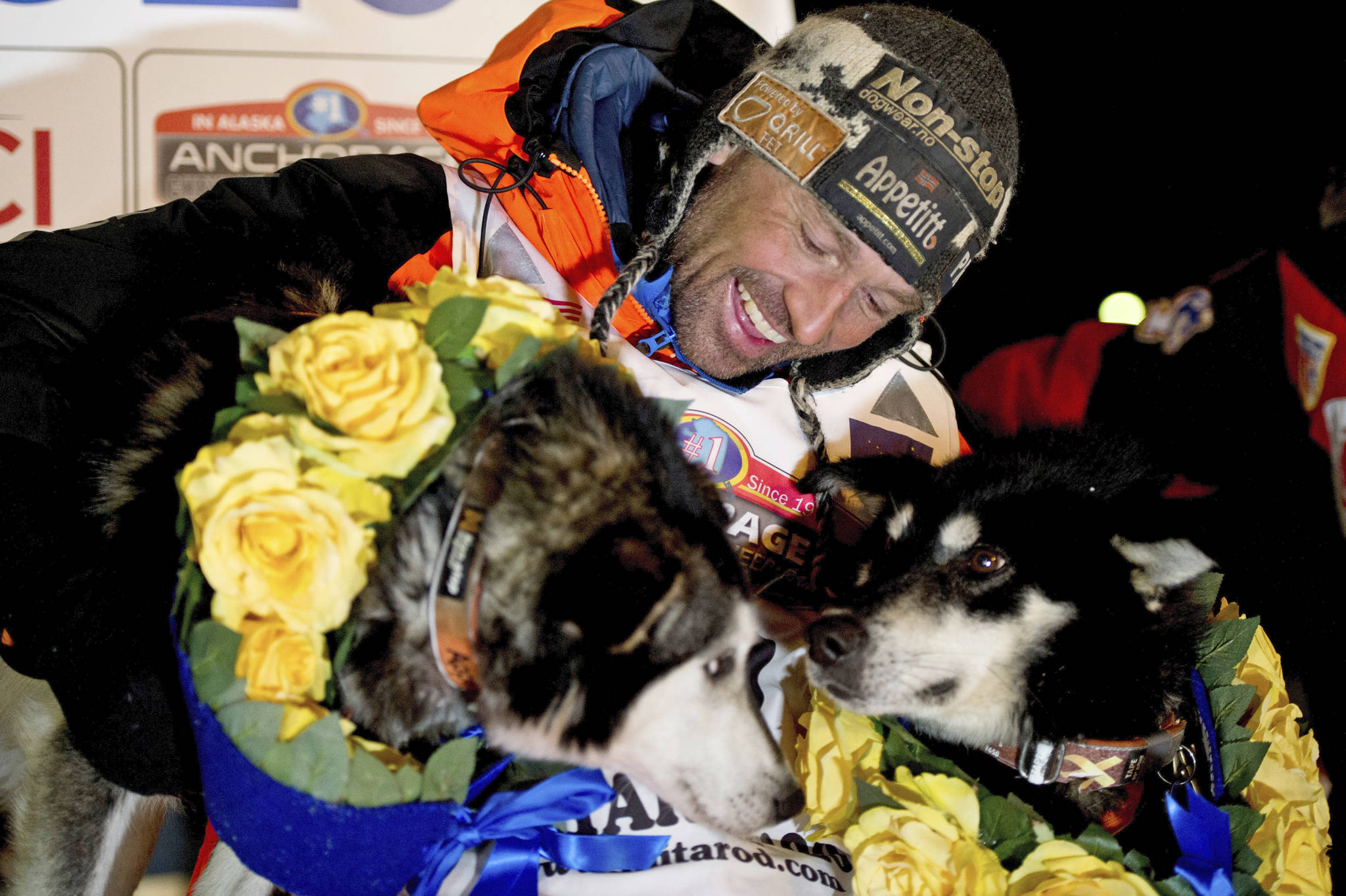 In this March 18, 2020 file photo, Thomas Waerner, of Norway, celebrates his win in the Iditarod Trail Sled Dog Race in Nome, Alaska. The world’s most famous sled dog race will go forward in 2021 officials are preparing for every potential contingency now for what the coronavirus and the world might look like in March when the Iditarod starts. It’s not the mushers that worry Iditarod CEO Rob Urbach; they’re used to social distancing along the 1,000 mile trail. The headaches start with what to do with hundreds of volunteers needed to run the race, some scattered in villages along the trail between Anchorage and Nome, to protect them and the village populations. (Marc Lester/Anchorage Daily News via AP, File)
