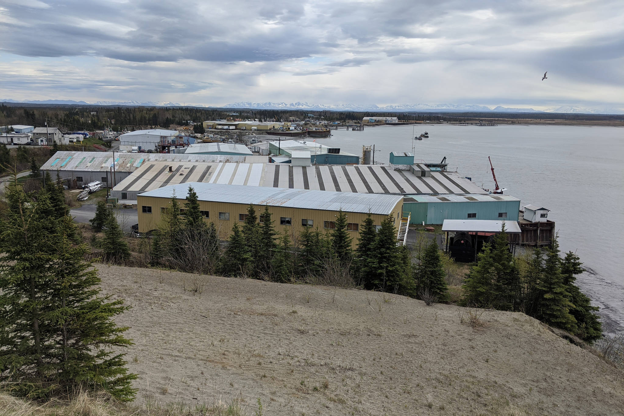 Kenai Harbor in Cook Inlet is photographed on May 14, 2020. (Photo by Erin Thompson/Peninsula Clarion)