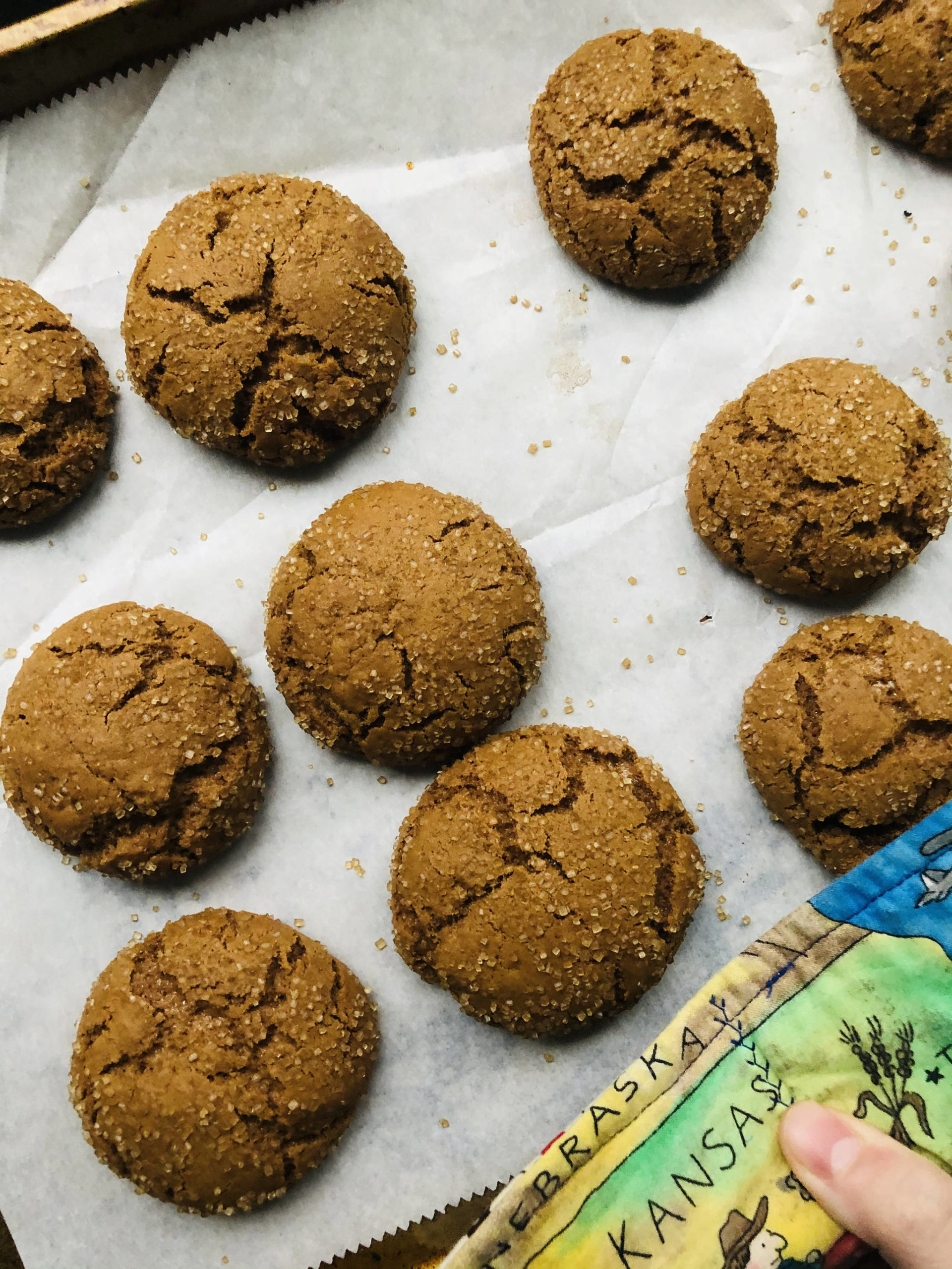 Ginger molasses cookies make for a delicious, chewy way to spread holiday cheer to family and friends isolated during the pandemic, photographed on Nov. 30, 2020, in Anchorage, Alaska. (Photo by Victoria Petersen/Peninsula Clarion)