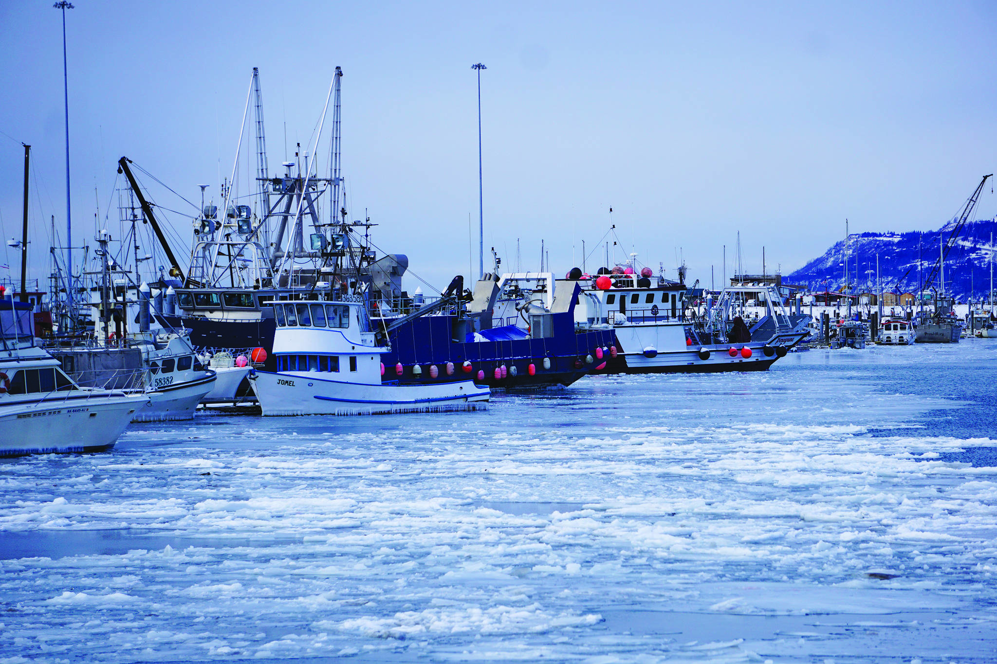Ice chokes the Homer Harbor on Jan. 9, 2020 in Homer, Alaska. North Pacific Fishery Management Council is scheduled to take final action on a fishery management plan for commercial fishing in Upper Cook Inlet this week. (Photo by Michael Armstrong/Homer News)