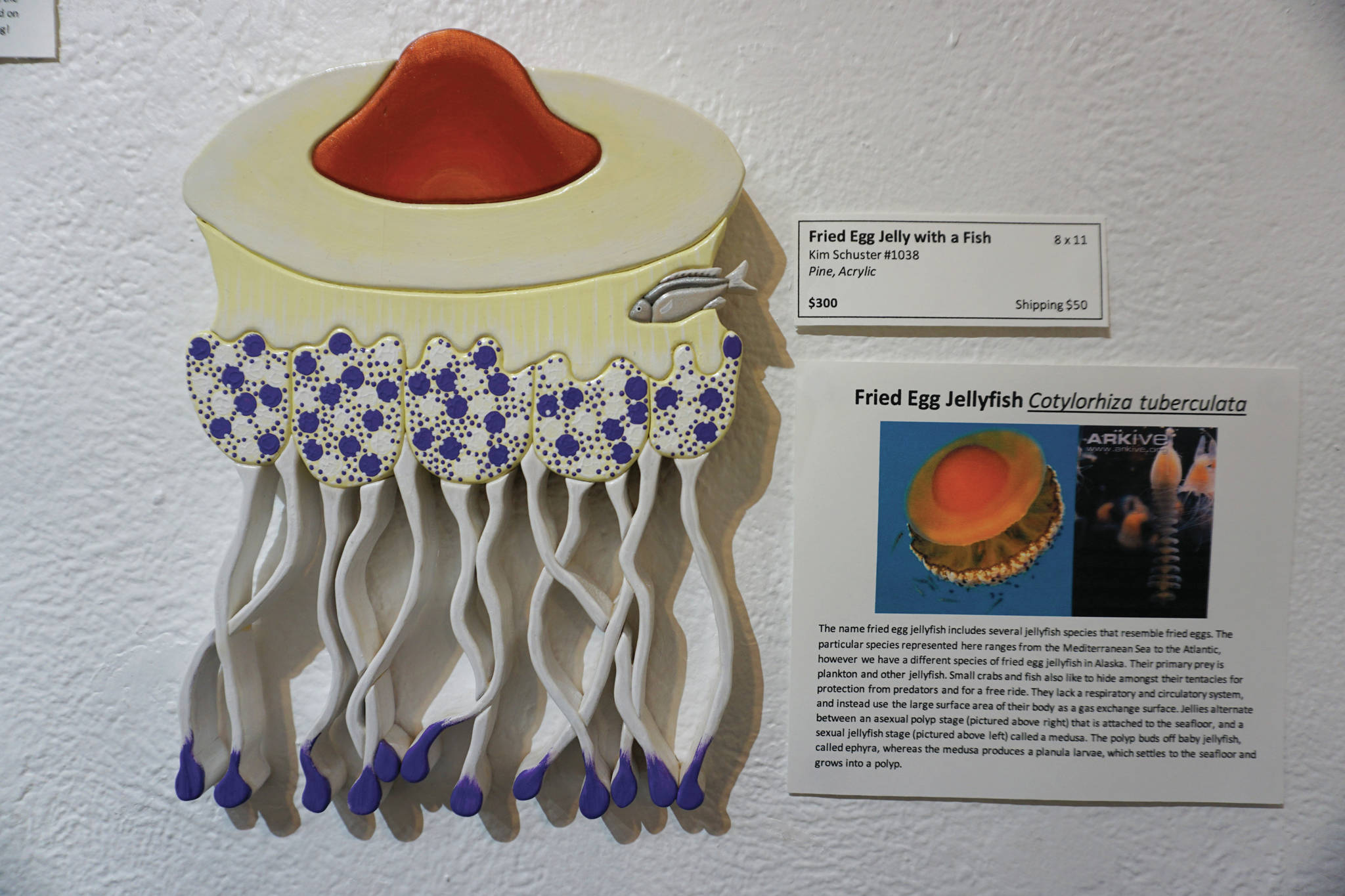 “Fried egg jelly with a fish” is one of the pieces in Kim Schuster’s exhibit, “Science Observed Through Art: Unsung Species,” as seen here on Friday, Dec. 4, 2020, at Ptarmigan Arts in Homer, Alaska. (Photo by Michael Armstrong/Homer News)