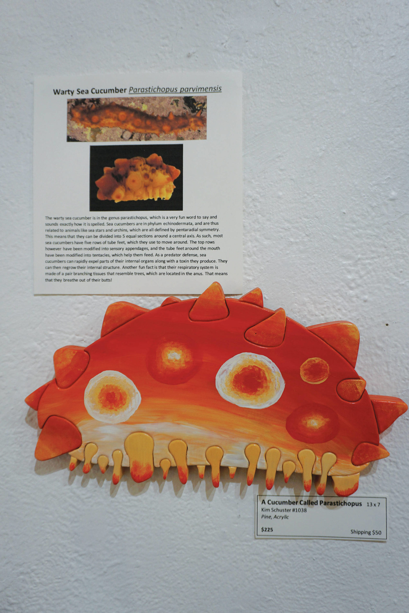 “A Cucumber Called Parastichopus” is one of the pieces in Kim Schuster’s exhibit, “Science Observed Through Art: Unsung Species,” as seen here on Friday, Dec. 4, 2020, at Ptarmigan Arts in Homer, Alaska. (Photo by Michael Armstrong/Homer News)
