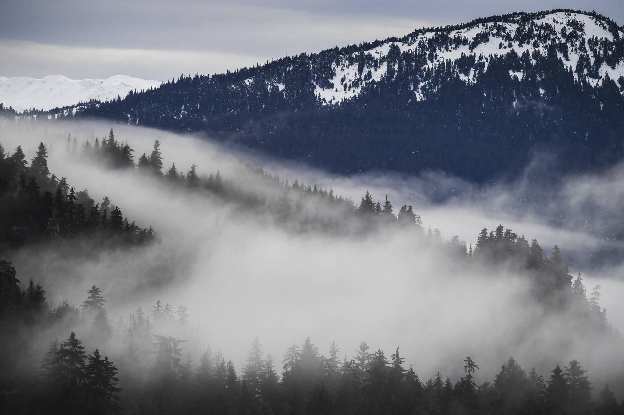 A lawsuit against the Trump Administration for removing protections on the Tongass National Forest, seen here on Monday, Dec. 9, 2019, was filed in U.S. District Court on Dec. 23, 2020. (Michael Penn / Juneau Empire File)