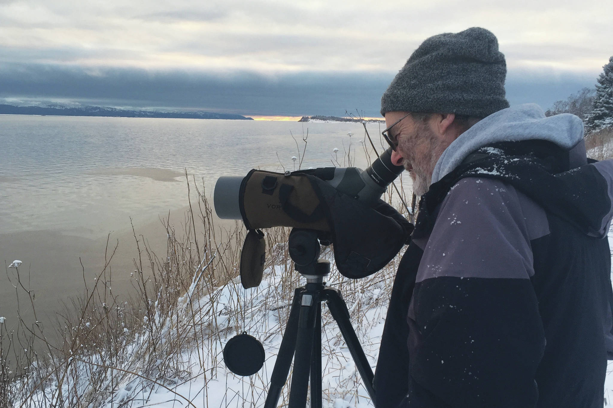Tim Quinn looks for birds in Kachemak Bay during the Christmas Bird Count on Saturday, Dec. 19, 2020, in Homer, Alaska. (Photo by Jim Herbert)