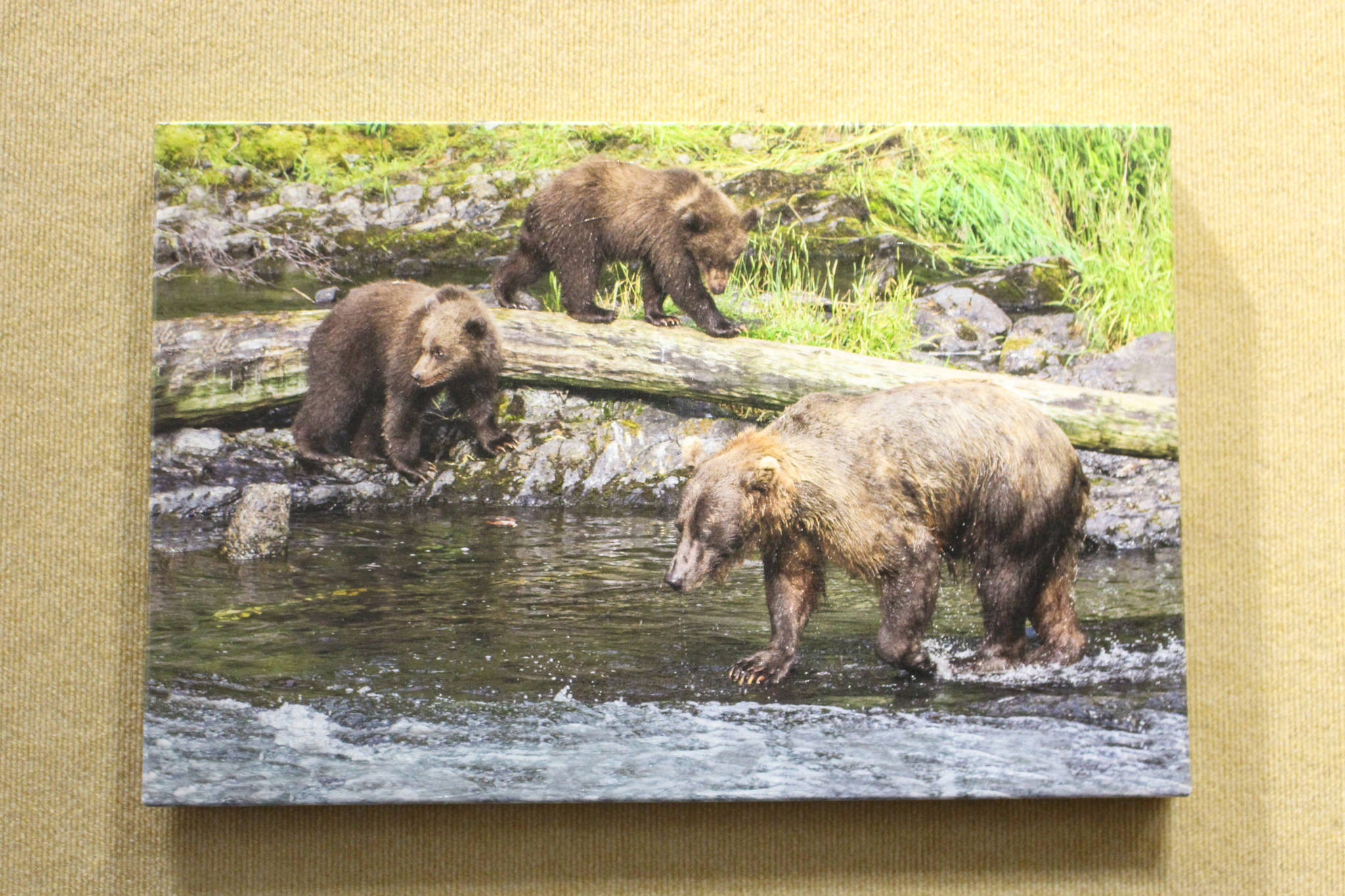 A photograph on canvas by Mary Frische and Tom Collopy is on display at the Kenai Visitor and Cultural Center on Jan. 12, 2021. (Photo by Brian Mazurek/Peninsula Clarion)