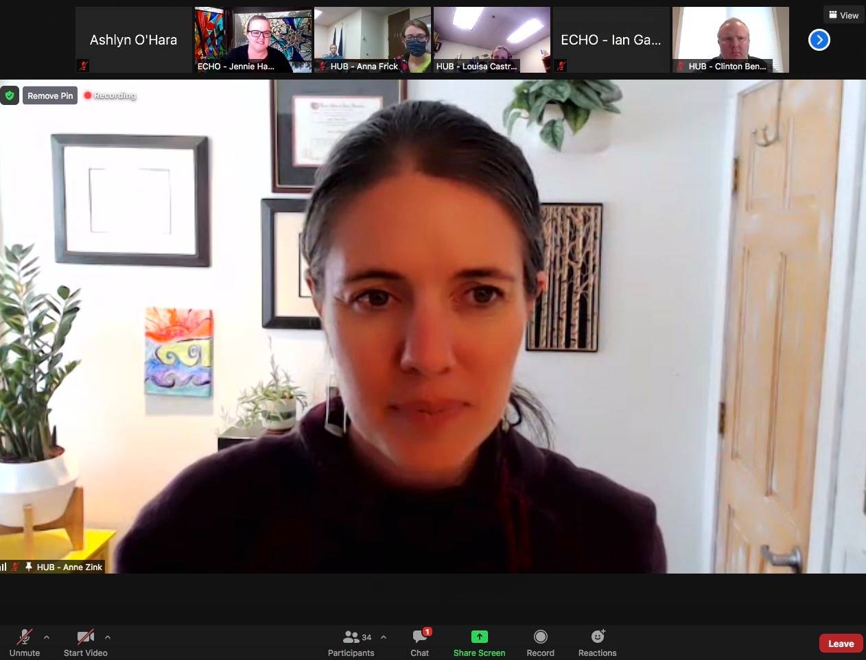 Dr. Anne Zink addresses members of the media during a remote press conference on Thursday, Feb. 25 in Alaska. (Screenshot)