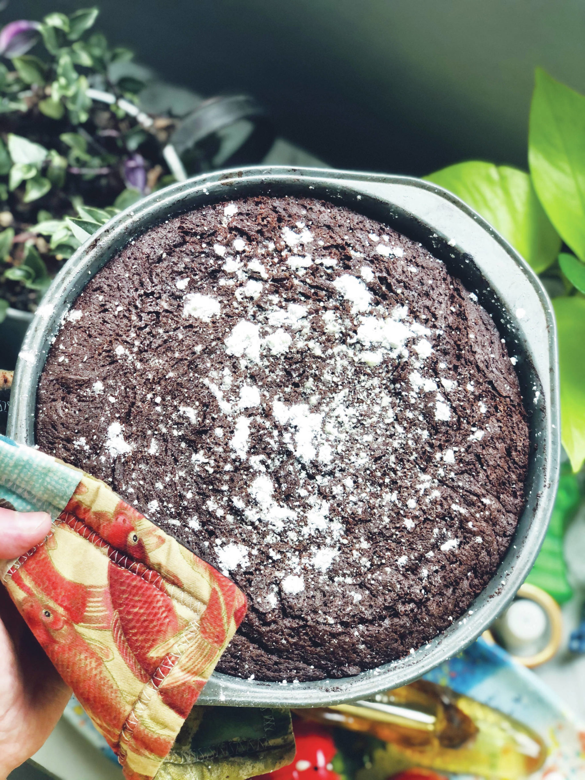 Kladdkaka sprinkled with powdered sugar is ready to be eaten, photographed on Tuesday, March 9, 2021, in Anchorage, Alaska. (Photo by Victoria Petersen/Peninsula Clarion)