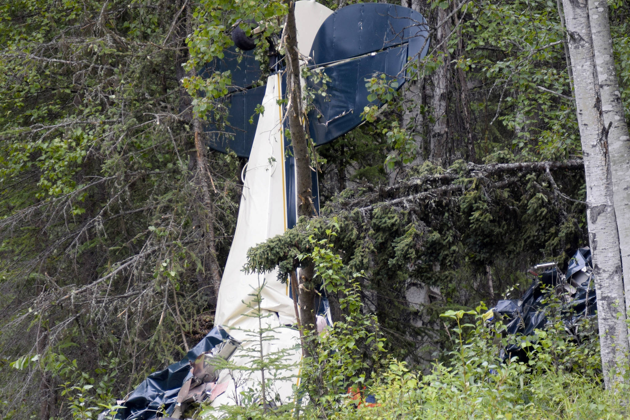 A plane rests in brush and trees after a midair collision outside of Soldotna, Alaska. State Rep. Gary Knopp, an Alaska state lawmaker, was involved in the July midair collision that killed seven people. (Jeff Helminiak / Peninsula Clarion)
