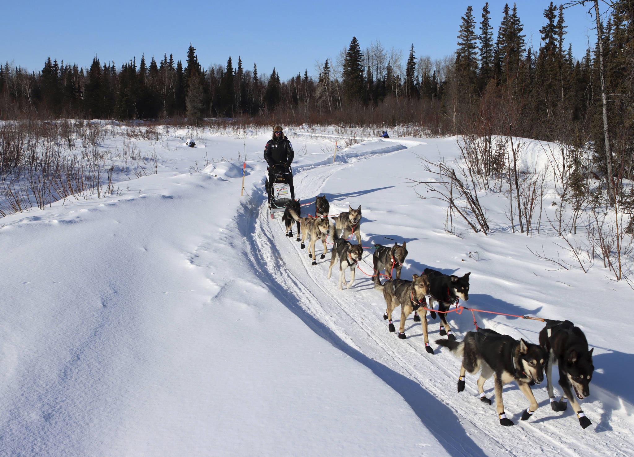 Pete Kaiser leaves the Ophir, Alaska, checkpoint with his dog team during the Iditarod Trail Sled Dog Race on Friday, March 12, 2021. (Zachariah Hughes/Anchorage Daily News via AP, Pool)