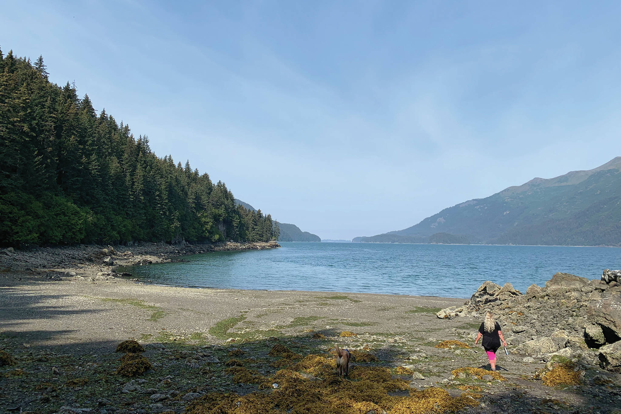 The author walks along the tidal zone in Tutka Bay in August 2019, across Kachemak Bay from Homer, Alaska. (Photo courtesy Megan Pacer)