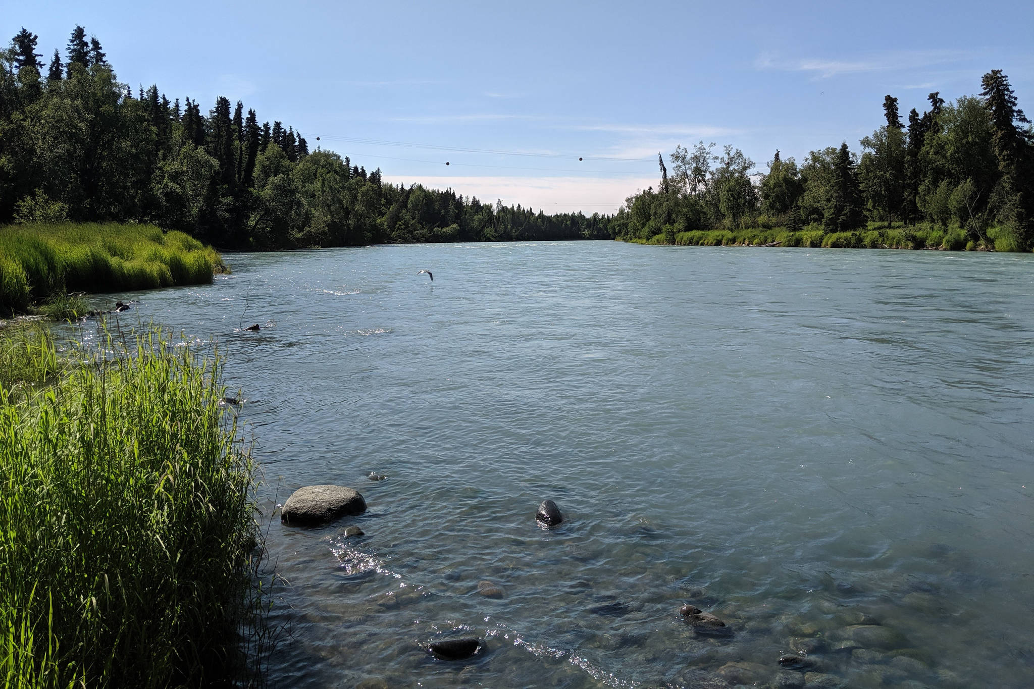 The Kasilof River can be seen in June 2019. The Alaska Department of Natural Resources will acquire 309 acres of habitat along the river with funding from a federal conservation grant. (Clarion file)