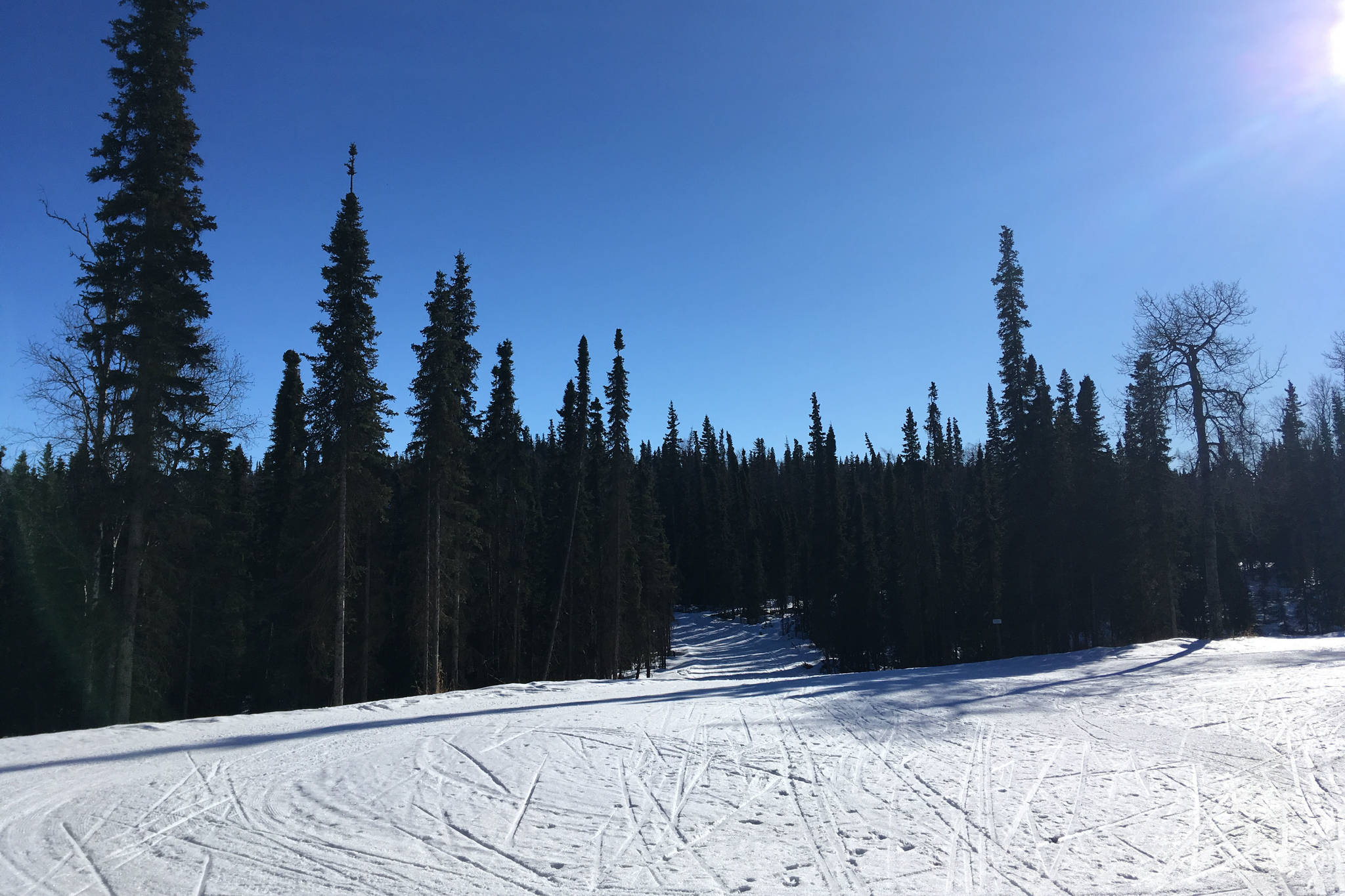 Ski tracks can be seen in the snow at Tsalteshi Trails near Soldotna, Alaska, on March 20, 2018. (Photo by Jeff Helminiak/Peninsula Clarion)