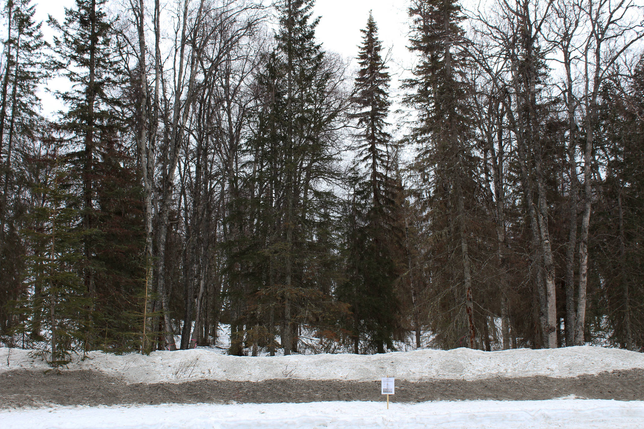 A sign indicates the future site of the Kenai Peninsula Peace Crane Garden Trails on Marydale Avenue on Wednesday, April 14, 2021 in Soldotna, Alaska. (Ashlyn O’Hara/Peninsula Clarion)