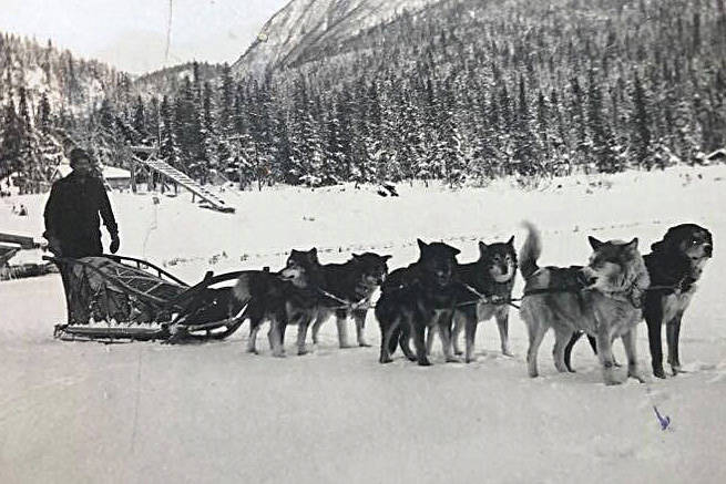 This dog team, loaded with mail, was en route between Moose Pass and Kenai, circa 1920s. (Photo courtesy of Jim Taylor.)