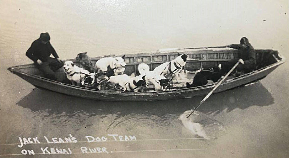 Jack Lean and his mail-hauling dog team get a ride across the outlet of Kenai Lake, circa 1930. (Photo courtesy of Jim Taylor.)