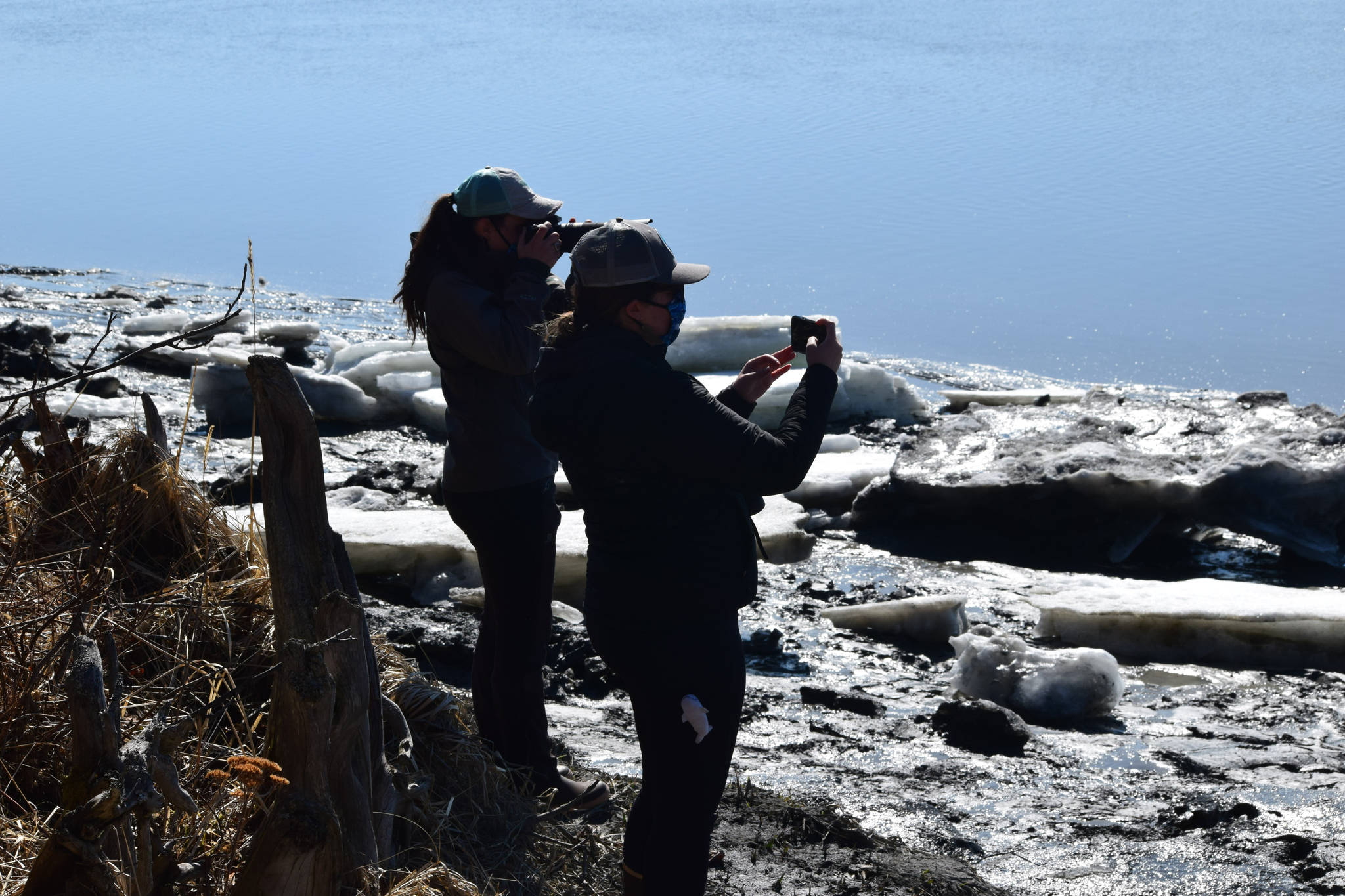 Madison Kosma (left) and Suzanne Steinert watch as beluga whales swim up the Kenai River at Cunningham Park on Saturday, April 24, 2021. (Photo by Camille Botello/Peninsula Clarion)