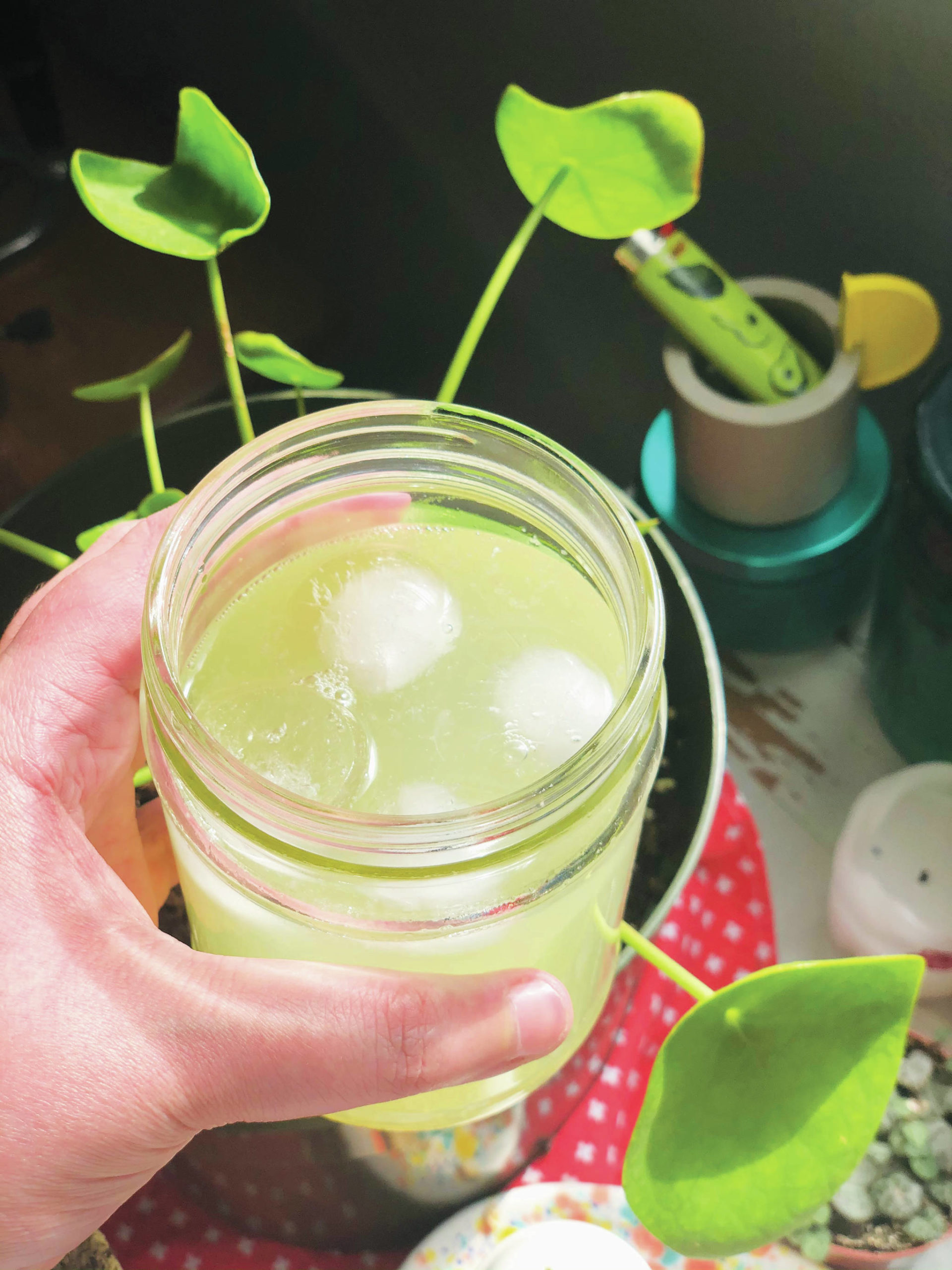 A glass of refreshing lemonade officially welcomes the summer season, photographed on Tuesday, April 27, 2021, in Anchorage, Alaska. (Photo by Victoria Petersen/Peninsula Clarion)