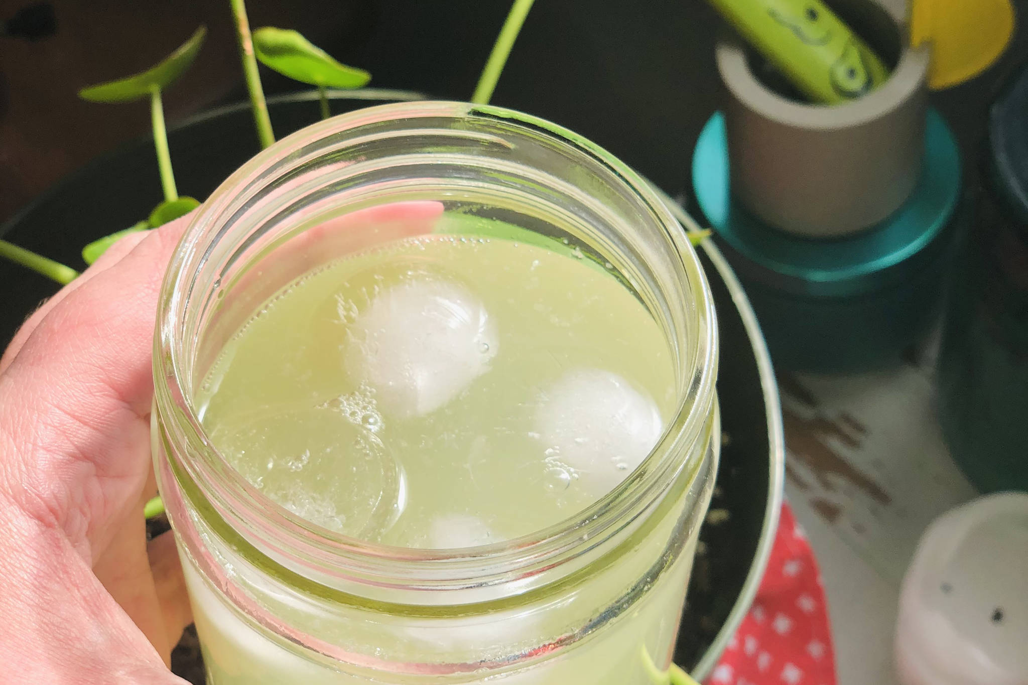 A glass of refreshing lemonade officially welcomes the summer season, photographed on Tuesday, April 27, 2021, in Anchorage, Alaska. (Photo by Victoria Petersen/Peninsula Clarion)