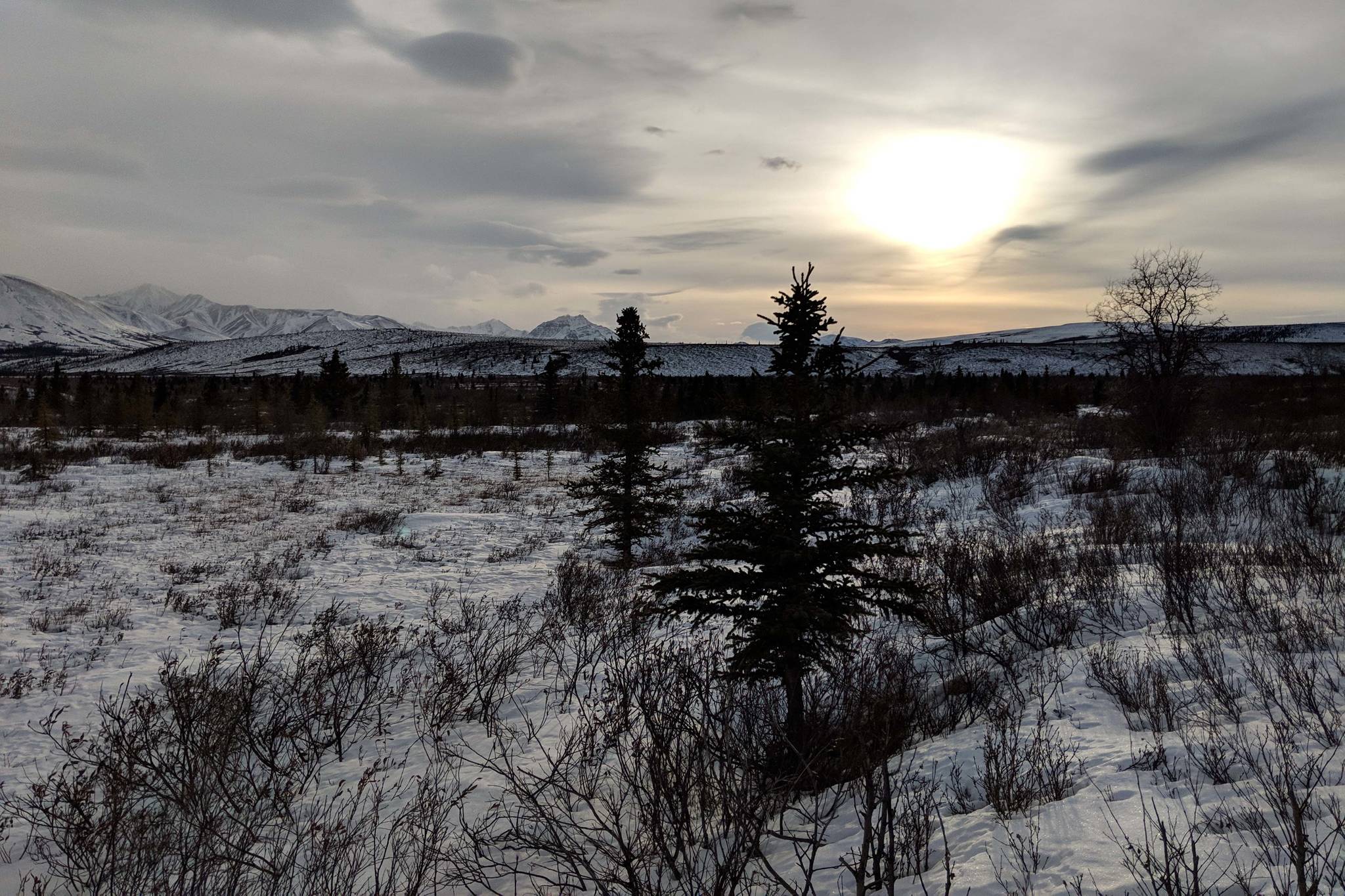 Denali National Park and Preserve is seen in March 2019. (Photo by Erin Thompson/Peninsula Clarion)