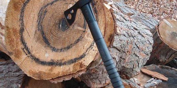 An ax is stuck in a log at Peninsula Axe Throwing in Cooper Landing in this undated photo. (Peninsula Axe Throwing website)