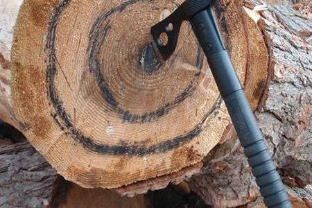 An axe is stuck in a log at Peninsula Axe Throwing in Cooper Landing in this undated photo. (Peninsula Axe Throwing website)