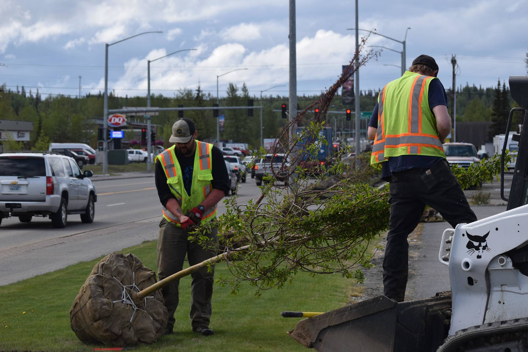 Soldotna Parks and Recreation employees Brock Kant, left, and Kenneth Butler plant trees along the Sterling Highway in Soldotna on Tuesday, June 1, 2021. (Camille Botello / Peninsula Clarion)