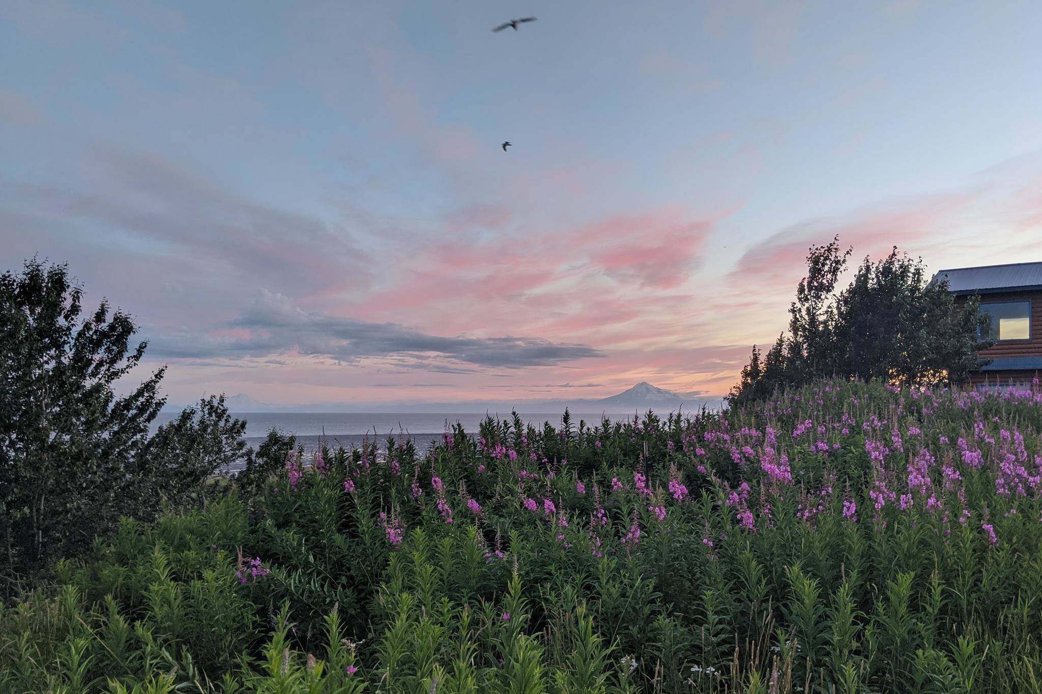 Mount Redoubt is seen from the Kenai Bluff on July 20, 2020, in Kenai, Alaska. (Clarion file)