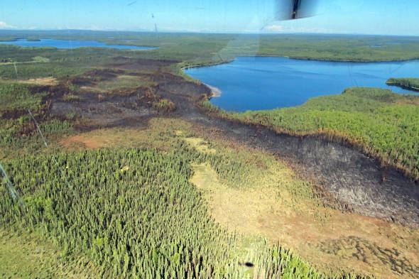 Kale Casey/Alaska DNR-Division of Forestry
An aerial photo of the 102-acre Loon Lake Fire footprint taken at approximately 11:30 a.m. Tuesday. Swan Lake is in the background to the right.