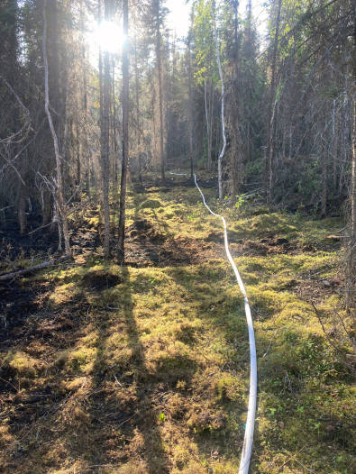 Part of hose line has been laid around the perimeter of the 102-acre Loon Lake Fire to help firefighters extinguish any hot spots, photographed on Thursday, June 17, 2021 on the Kenai Peninsula, Alaska. (Bryan Quimby/Gannett Glacier Fire Crew)